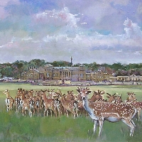 Deer at Holkham Hall