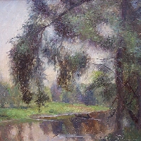 Pussy Willows near River